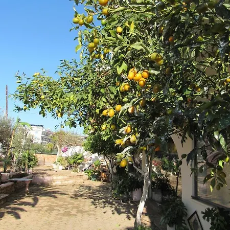 Lemon Tree アパートホテル クサミル